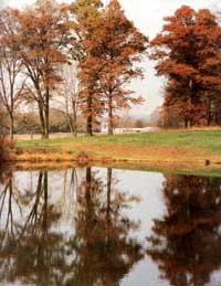 The Seasonal Almanac: Scarlet Oak Foliage and Lake-Effect Snowstorms